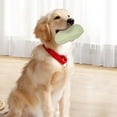 thumbnail image 4 of Juguete para perros con sonido, resistente a mordeduras y rechinamiento de dientes, para perros pequeños y cachorros (N5O4), 4 of 5