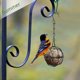 thumbnail image 3 of 4pcs Hanging Bird Feeders Metal Bird Grease Ball Holder Indoor Outdoor Black 7cm Diameter Food Dispenser With 4 S-shaped Hooks, 3 of 5