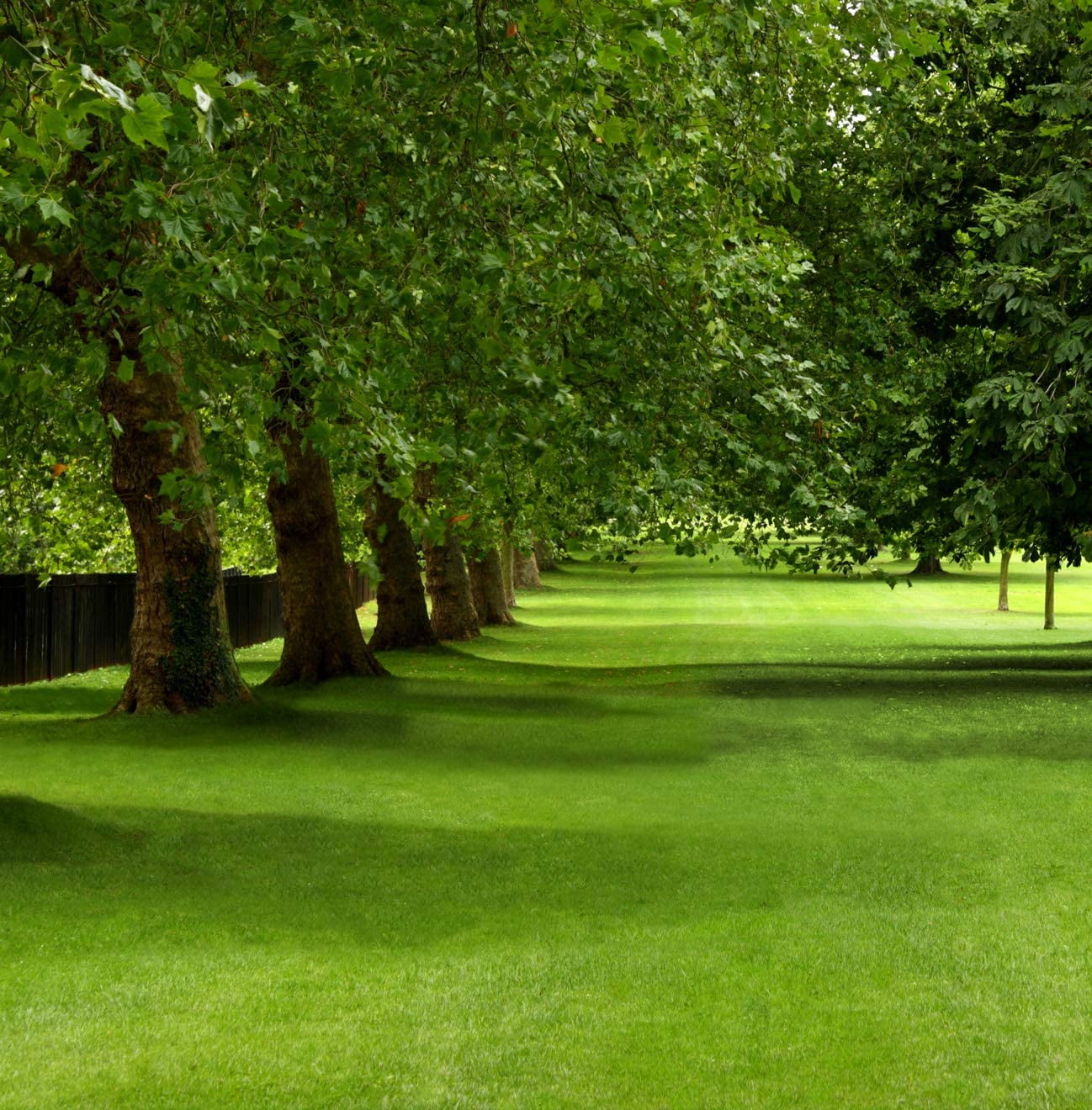 Mountain View Seeds M94 100512X 18 lbs Mountain View Sun & Shade Grass Seed Mix - Bristol Only