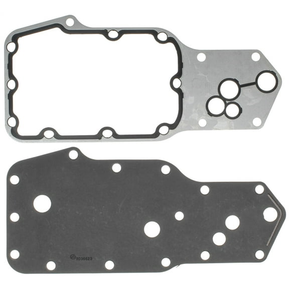 Engine Oil Cooler Gasket