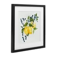 thumbnail image 2 of Stupell Industries French Country Lemon Branch with Berries Black Framed Print Under Glass, 13 x 13, by Livi Finn, 2 of 8