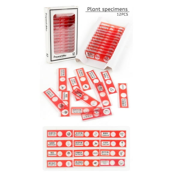 HUMJUSE Microscope Slides with Specimens for Kids Adults, Prepared Microscope Slides Kit, Prepared Glass Slides for Adults Kids