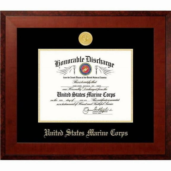 Patriot Frame's Marine 8.5x11 Discharge Honors Frame with Gold Medallion