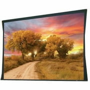 Angle View: Access Series V Electrol Projection Screen