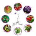 thumbnail image 2 of Luz LED para plantas, luz LED para fototerapia de 20W, luz LED para rostro y belleza, luz de relleno de 20W, 1 cabezal Sailing Electrónica, 2 of 5