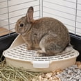 thumbnail image 4 of 4 Pcs Triangle Rabbit Litter Box, Corner Pet Toilet for Small Animals, Easy Clean Cage Potty Trainer for Rabbits, Guinea Pigs, Hamsters, Chinchillas, Ferrets, Gerbils for Indoor Cage Use, 4 of 7