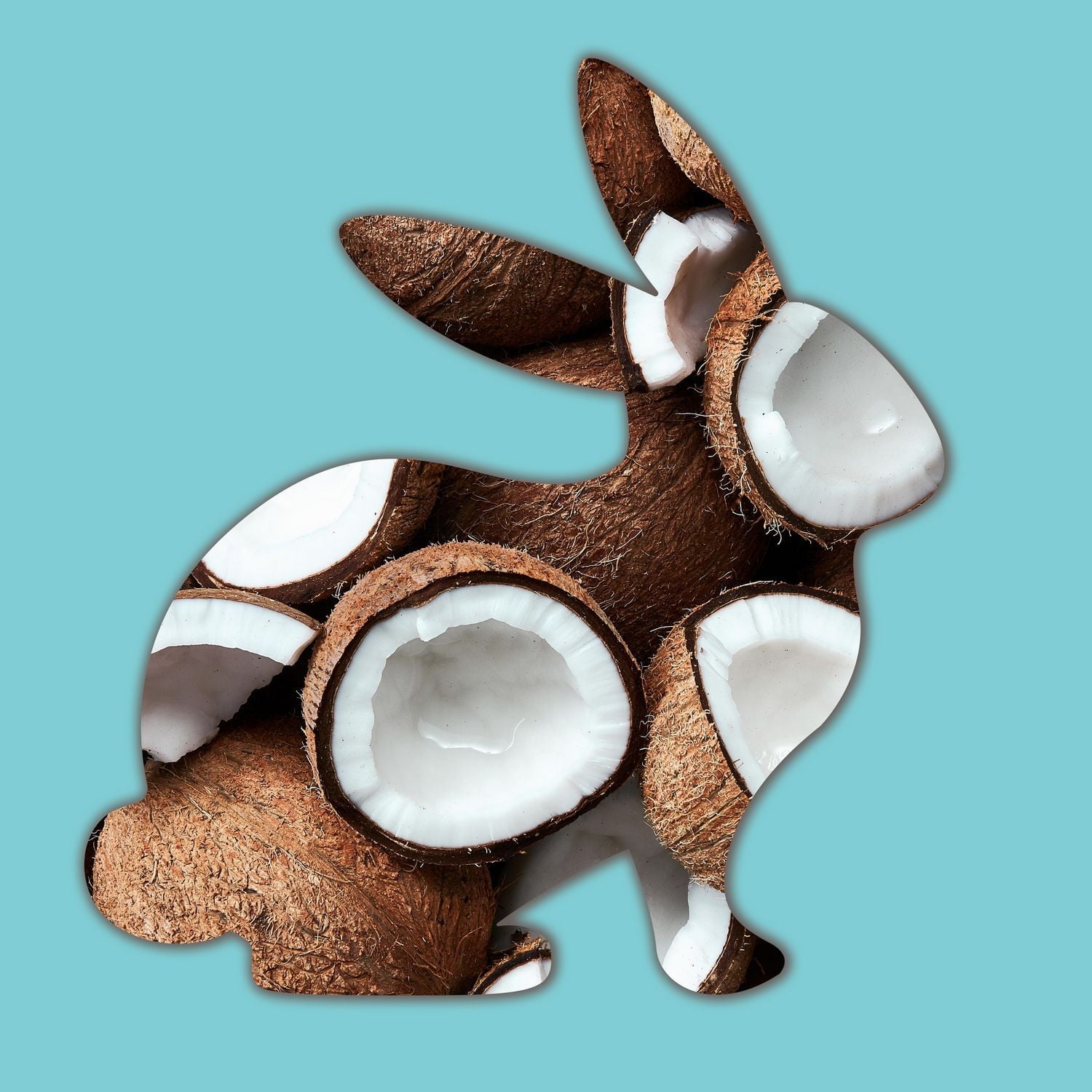 St. Ives Coconut Water & Orchid Body Wash, 650ml Body Wash