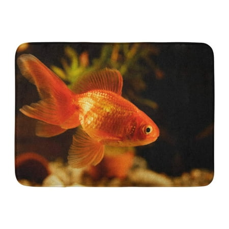 2511 Green - GODPOK Beautiful Green Animal Goldfish in Aquarium Orange Aquatic Beauty Rug Doormat Bath Mat 23.6x15.7 inch