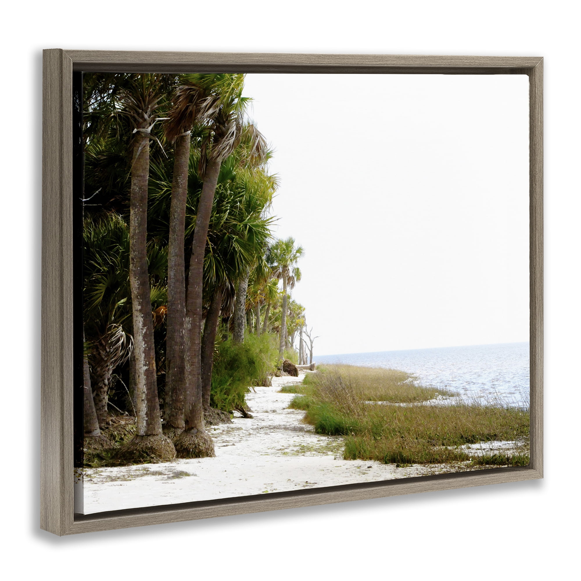 Stupell Industries Palm Beach Path Landscape Photography Brown Floater Framed Canvas Art Print Wall Art, 21 x 17