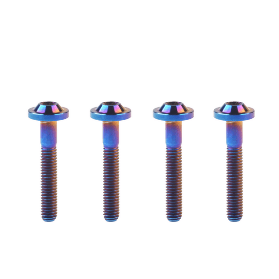 Wanyifa Titanium M8 10 15 20 25 30 35 40 50 60 70mm Torx Head Bolt Screw,M8x60mm,Burnt Blue,4 Pcs
