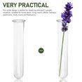 thumbnail image 5 of BERTDOMD 6pcs Clear Glass Test Tubes for Plant Propagation Hydroponic Flower Vases Home Office Decor Tube Vases Sturdy and Durable tube vase, 5 of 6
