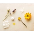 thumbnail image 3 of Protector solar Shwally Zinc & Aguacate Mineral 30 SPF 75 ml, 3 of 8