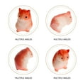 thumbnail image 5 of MLINS 10 Pcs Hamster Ornaments Mini Furniture Decorations 1.60X1.20X1.00CM Brown, 5 of 8