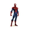 Spider-Man (Marvel Contest of Champions Game)-Size:72" x 26"