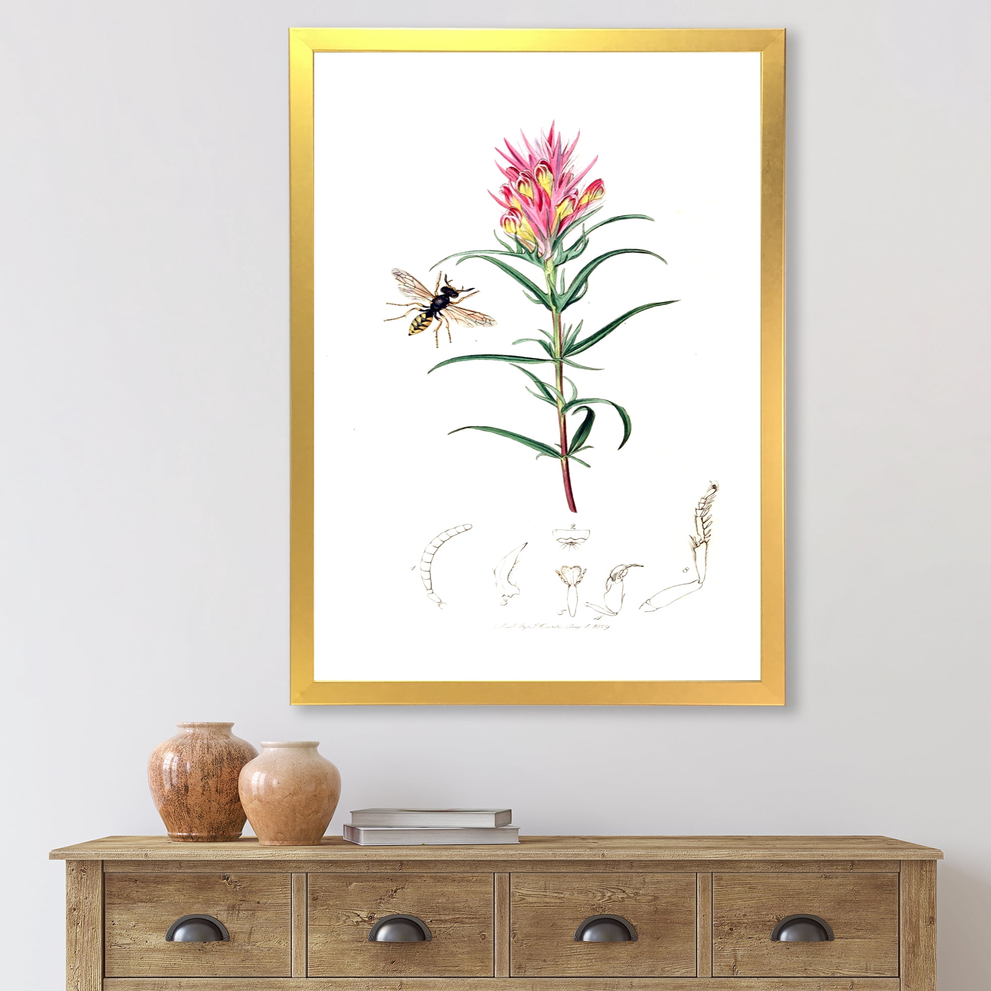Designart 'Ancient Insects and Plants I' Farmhouse Framed Art Print