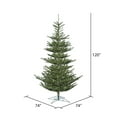 thumbnail image 3 of Vickerman 10' Alberta Spruce Artificial Christmas Tree, Clear Dura-lit Lights - Faux Christmas Tree - Seasonal Indoor Home Decor, 3 of 4
