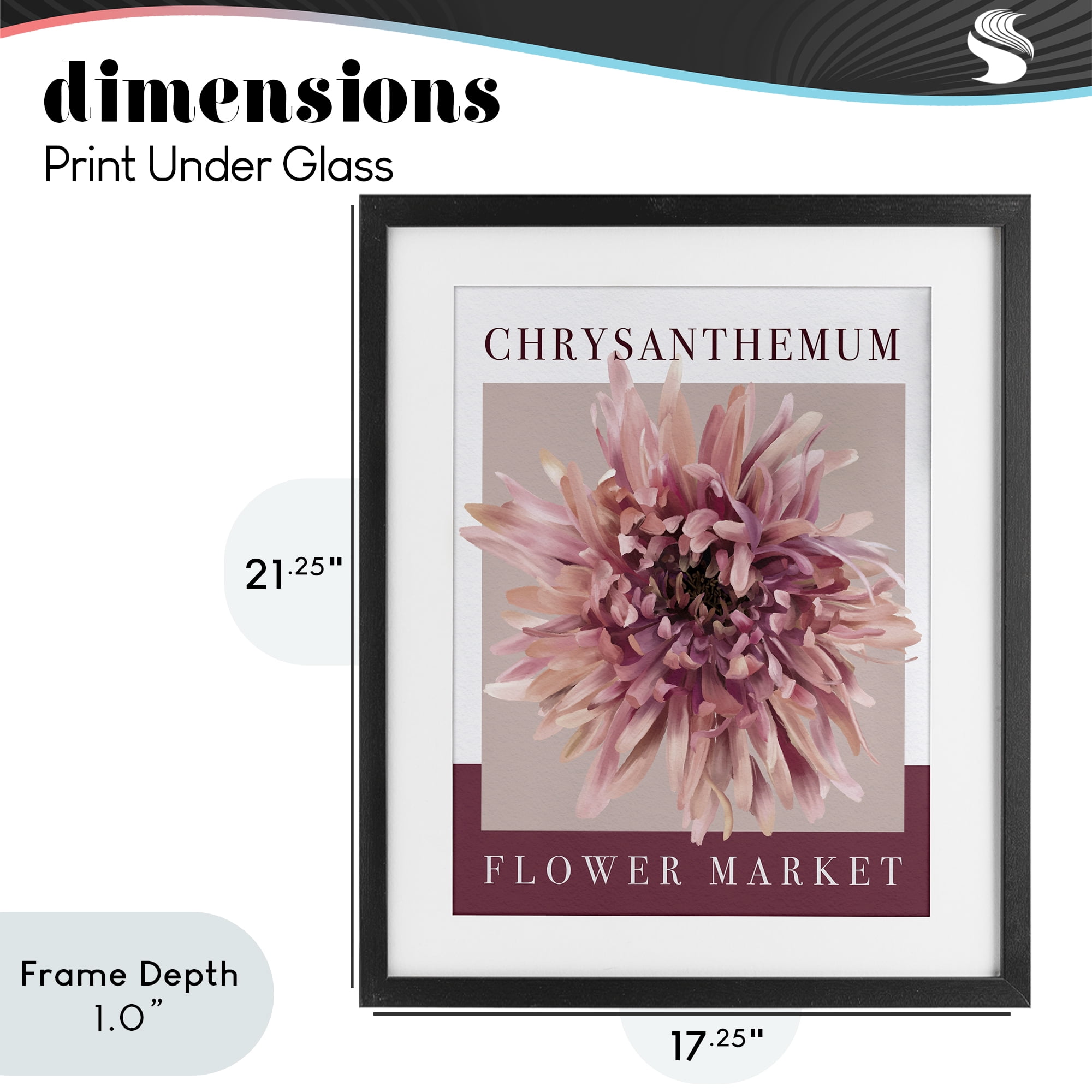 Stupell Industries Chrysanthemum Flower Market Black Framed Print Under Glass, design by Jennifer Stith