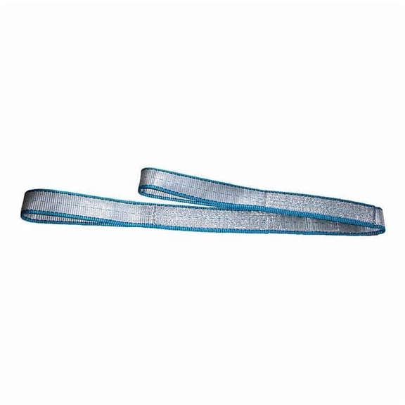 Lift-All Web Sling, Type 3, 10 ft L, 4 in W, Polyester, Silver EE1804TFX10