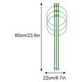 thumbnail image 4 of Maoww ABS Premium Plant And Durable For Sturdy Growth Climbing Frame Climbing Frame And Long-Term Use Climbing Frame 60 laps high and 22, 4 of 9