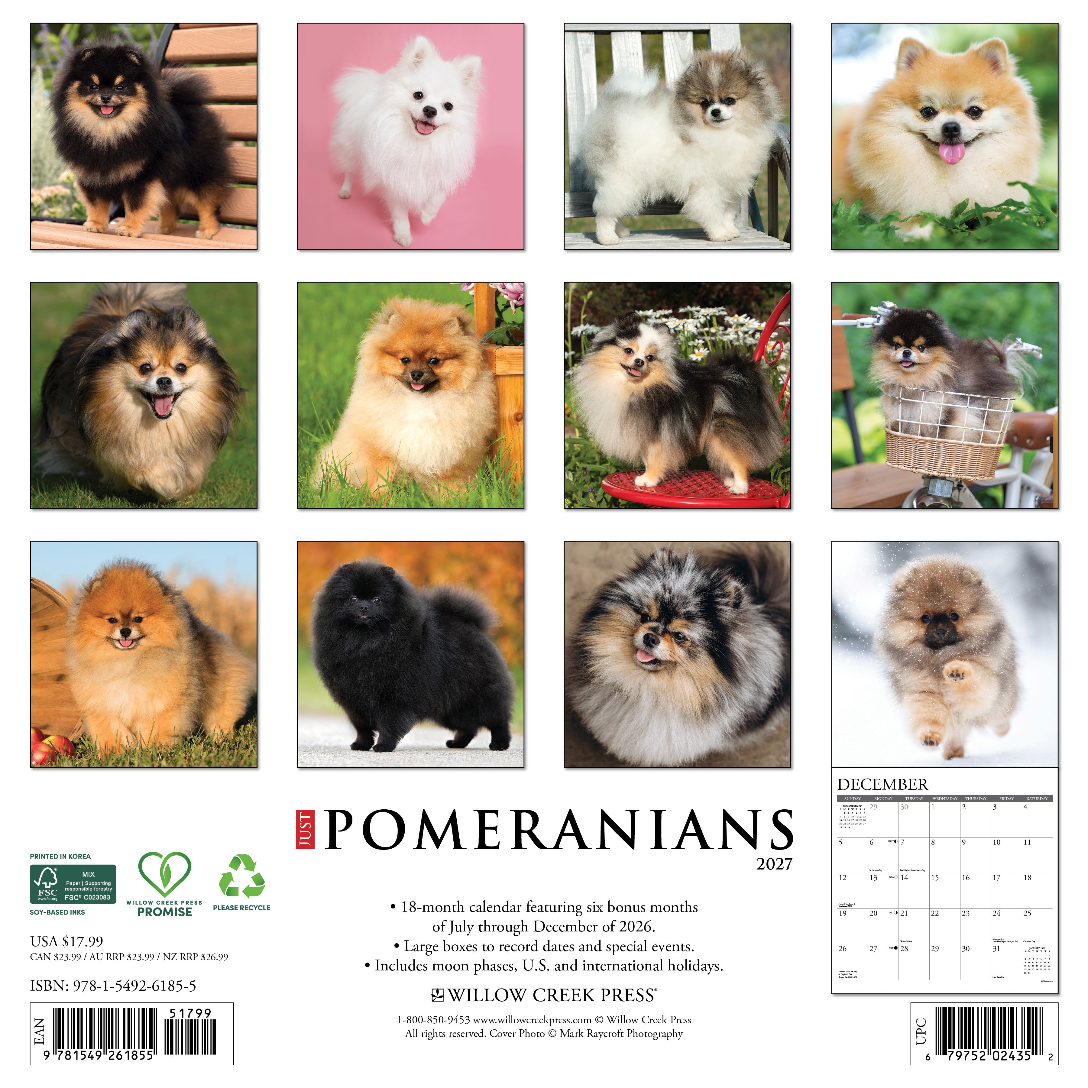 Willow Creek Press, Pomeranians 2027 Wall Calendar