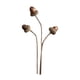 thumbnail image 4 of Ramo de flores secas para jarrón, arreglo floral con plantas secas, bricolaje decorativo para bodas, salas de estar, dormitorios, decoración del hogar Estilo F, 4 of 8
