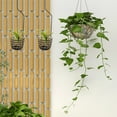 thumbnail image 5 of 3 Pcs Conch Hanging Ornament Hook Plant Wall Spiral, 5 of 8