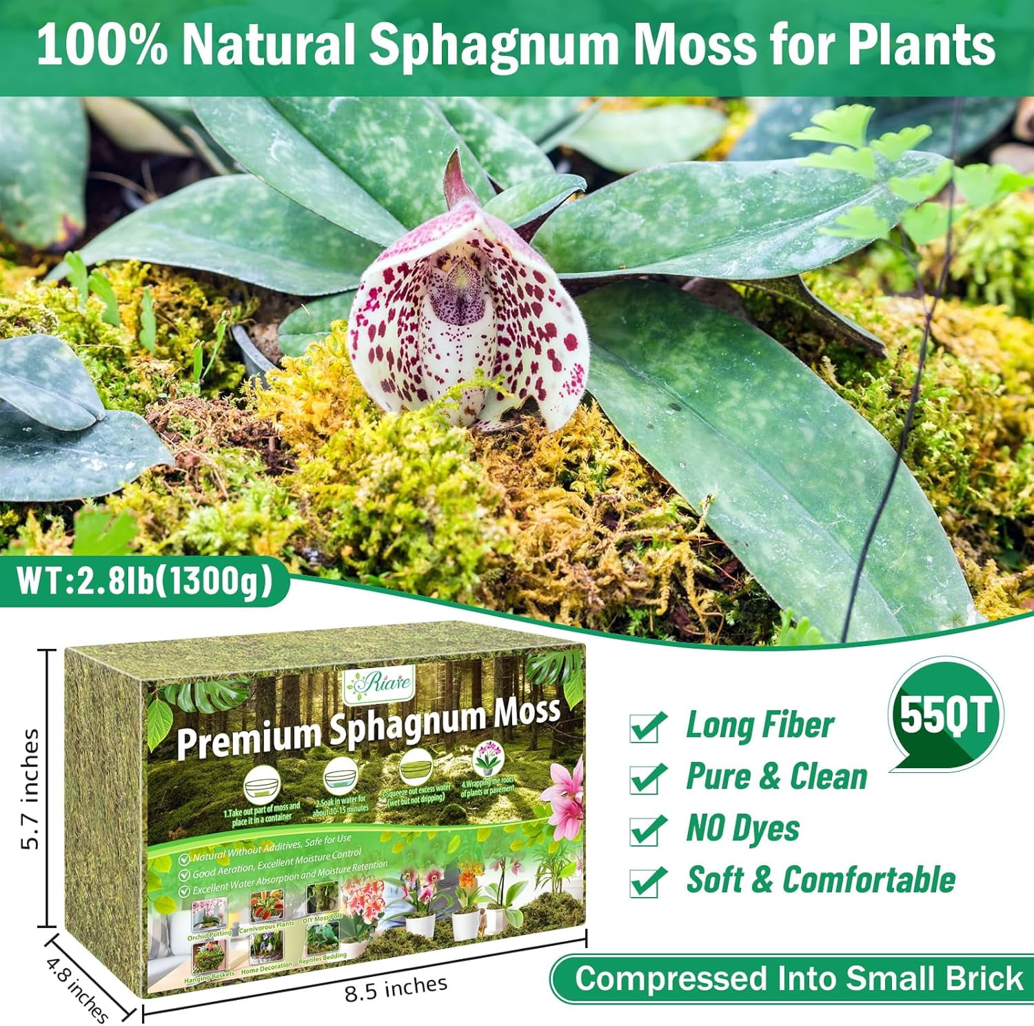 2.8LBS Premium Sphagnum Moss for Plants- 55QT Natural Dried Plant Moss for Potted Plants, Orchid Moss for Repotting, Soft Green Decorative Moss for Succulents, Reptiles & DIY Crafts