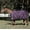 Grape Purple(GPU), variant on Equinavia Norse Lightweight 100g Fill Horse Rain Blanket Waterproof All Weather Lightweight Turnout Sheet