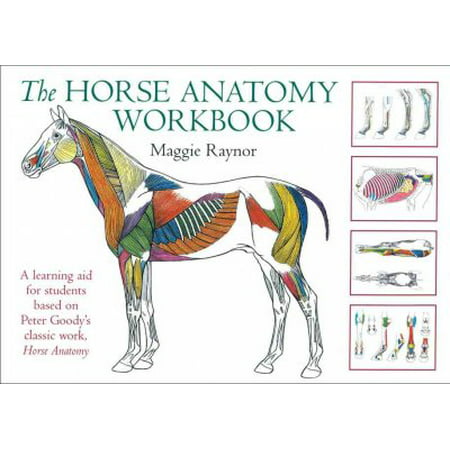 THe Horse Anatomy Workbook: A Learning Aid for Students Based on Peter Goody's Classic Work, Horse