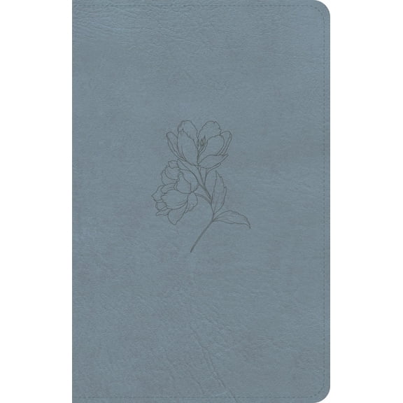 CSB Personal Size Bible, Digital Study Edition, Blue LeatherTouch (Hardcover)