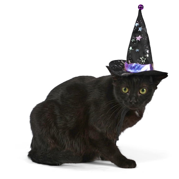 Vibrant Life Halloween Witch's Hat Costume for Dogs and Cats, Black, XS/S
