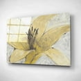 thumbnail image 2 of Epic Art 'Transparency Flower I' by Tim O'Toole, Acrylic Glass Wall Art, 24"x16", 2 of 3