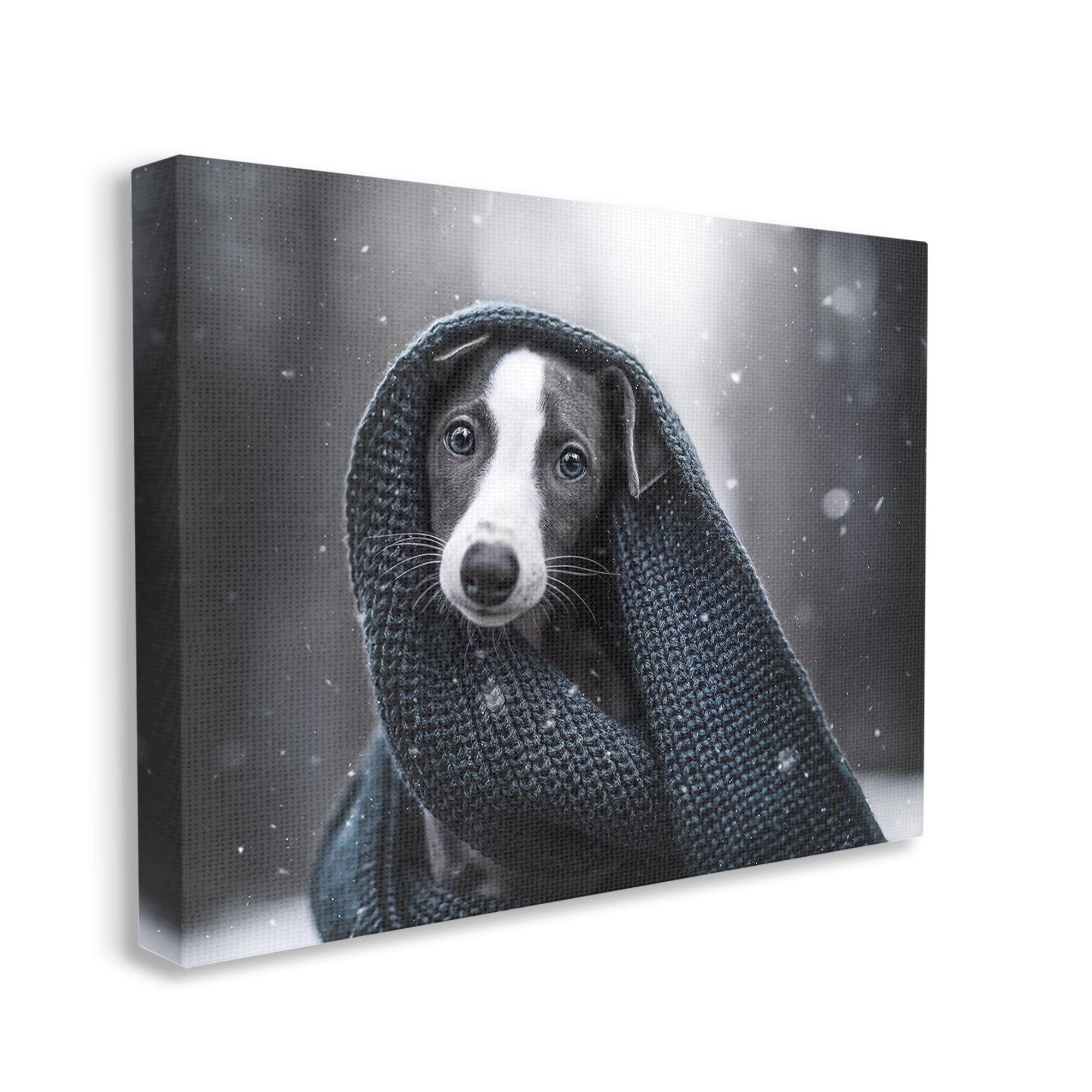 Stupell Industries Dog with Winter Scarf Animals & Insects Painting Gallery Wrapped Canvas Art Print Wall Art, 30 x 24