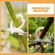thumbnail image 5 of SHOWERORO 500Ud Soportes Para Plantas Clips Plásticos Resistentes Para Vides Y Hortalizas, 5 of 7