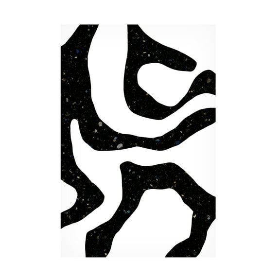 Trademark Fine Art uplusmestudio Black Gems Canvas Wall Art