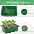 thumbnail image 3 of Starter 12 hoyos La bandeja de semillas cultiva la caja para las semillas que crecen al comienzo de Green 5pcs, 3 of 9