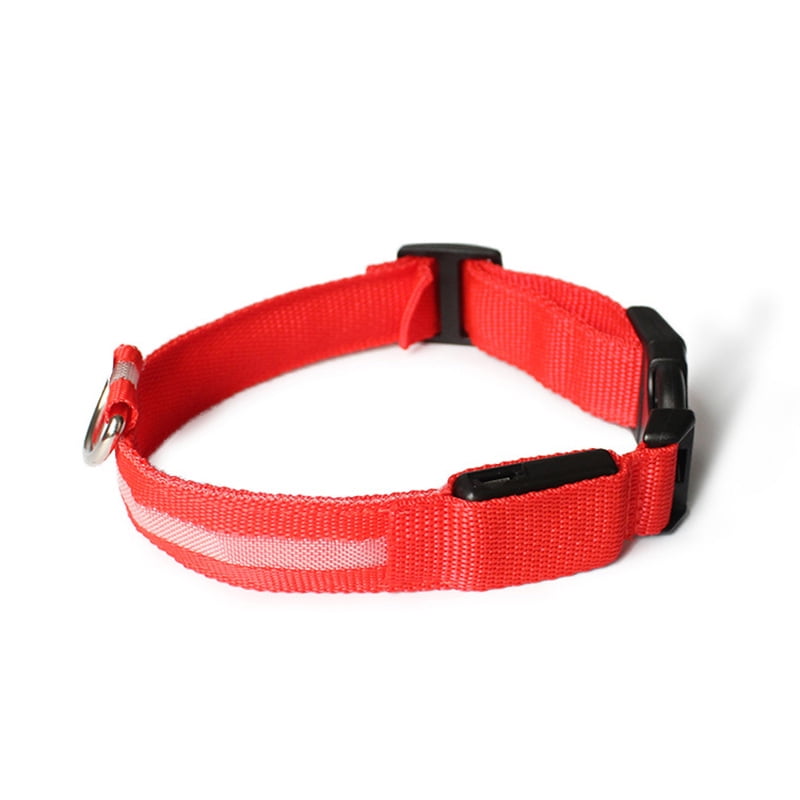 flashing dog collar