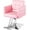 Pink Silver, variant on Pink Salon Chair for Hair Stylist, Height Adjustable Hydraulic Barber Chair 360 Degree Swivel, Beauty Spa Styling Hairdressing Braiding Chair for Women