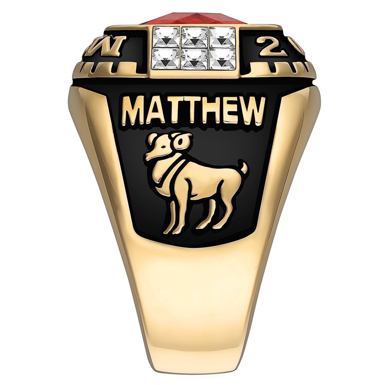 Order Now for 2025 Graduation, Freestyle Men's Silver Cushion Birthstone & CZ Class Ring Sterling Silver, Personalized, High School or College Graduation