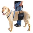 thumbnail image 1 of Gingerlead Arnés De Soporte Trasero Para Perros M/Lg Unisex Con Recorte Para Perros Machos Y Hembras. La Ayuda Acolchada Para Levantar La Cadera Ayuda A Las Mascotas Mayores A Caminar K9 A Recuperarse, 1 of 1