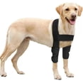 thumbnail image 2 of Soporte para perro para codo y hombro canino, protector de codo para perro, rodillera para perro, displasia, osteoartritis, callos de codo, llagas por presión (pequeño), 2 of 5
