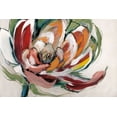 thumbnail image 2 of Fitsimmons, A. 32x23 White Modern Wood Framed Museum Art Print Titled - Bloomed I, 2 of 4