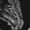 720, variant on T-Rex Dinosaur And Jurassic Plants Print Sleeveless Knee Length Dress, Dinosaur Fashion Summer Maxi Dress For Women.