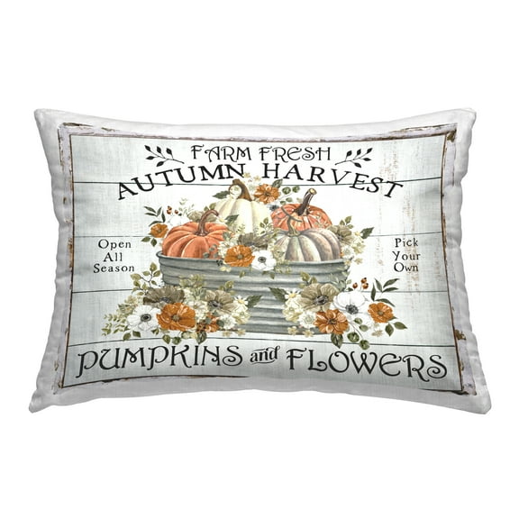 Stupell Industries Farm Fresh Harvest Pumpkin Decorative Printed Throw Pillow, 14 x 20