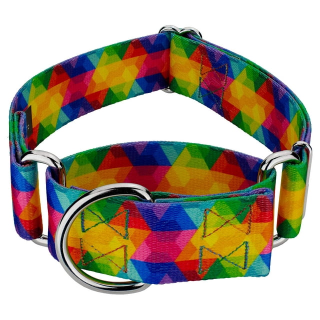 Country Brook Petz - HossFit Jr Wide Martingale Dog Collar - Groovy Collection Featuring Far Out Designs (Kaleidoscope, Large)