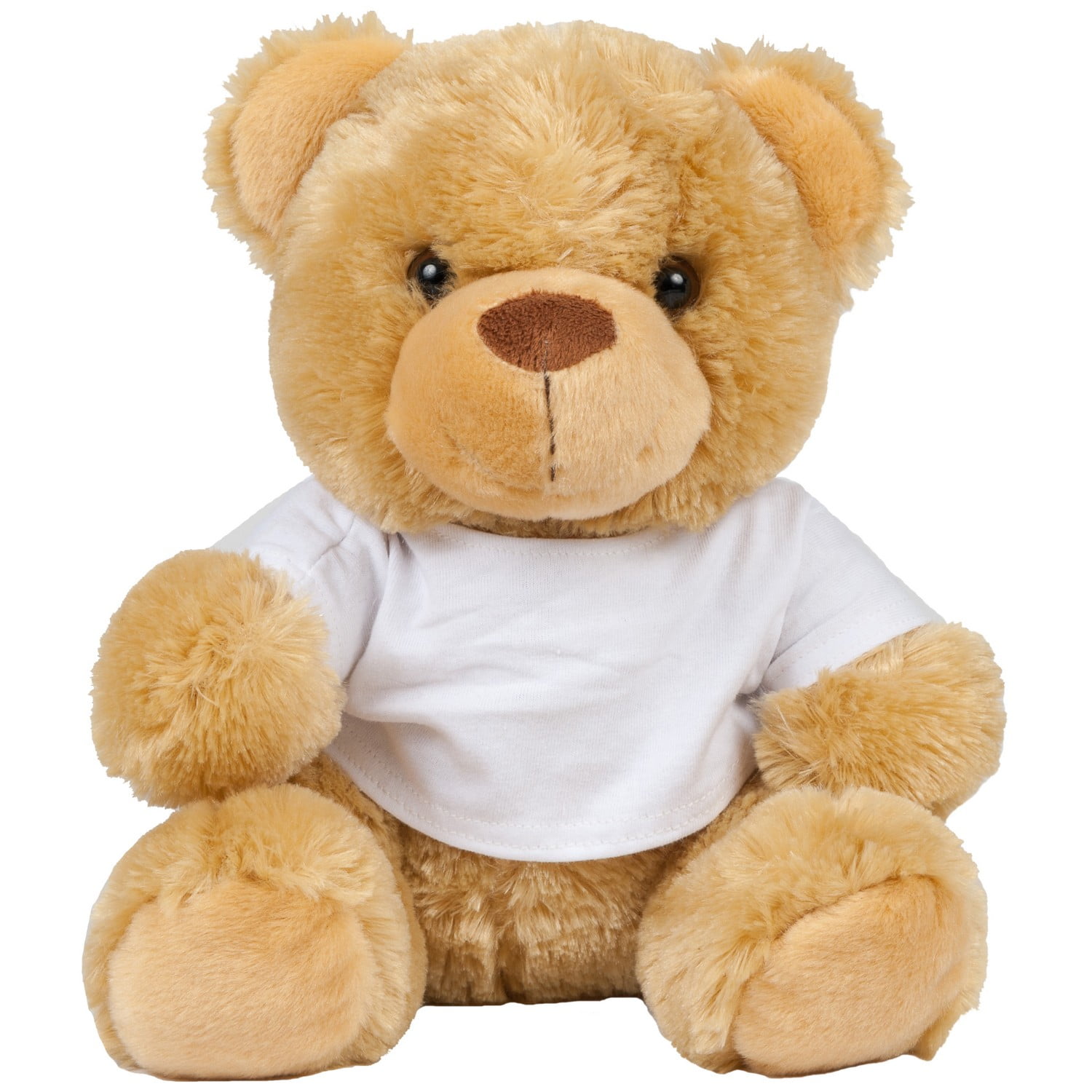 teddy bear with t shirt