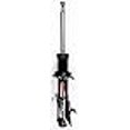 thumbnail image 3 of FCS 331615L Suspension Strut, 3 of 3