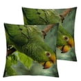 thumbnail image 2 of COMIO  Yellow-headed Amazon Parrot, Tropical bird, Belize - Pete Oxford - Pillow Case White, 2 of 6