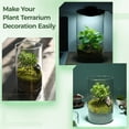 thumbnail image 7 of Desktop Glass Plant Terrarium with Grow Light for Succulent Moss, Glass Plant Terrarium Miniature Landscape Fish Tank Indoor Plant Growth Office Home Decoration Plant Lovers Gifts, 7 of 7