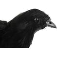 thumbnail image 2 of XY Fancy Halloween Raven Decor 6in Fake Crows Realistic Black Birds Ornaments for Halloween Props Indoor Outdoors Party Decoration, 2 of 6